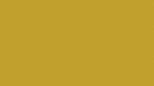 gold-placeholder